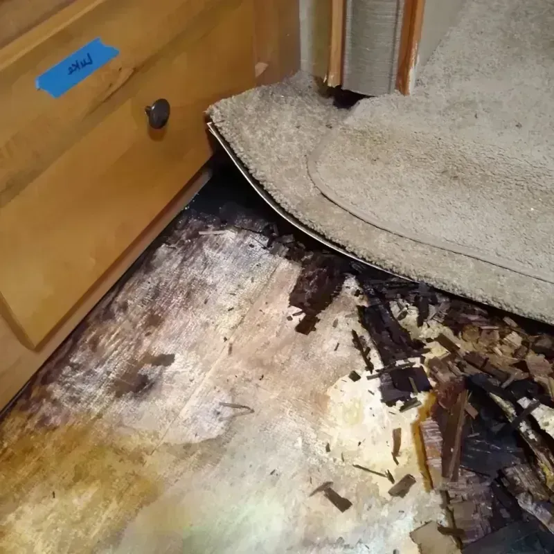 Wood Floor Water Damage in Chillicothe, OH